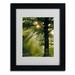 Trademark Fine Art "Magical Tree" by Kathie McCurdy Framed Photographic Print Canvas in Green | 20 H x 16 W x 0.5 D in | Wayfair KM0272-B1620MF