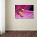 Trademark Fine Art 'Inside a Hibiscus' by Kurt Shaffer Framed Photographic Print on Wrapped Canvas in Pink | 16 H x 24 W x 2 D in | Wayfair