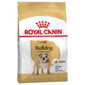 12kg Bulldog Adult Royal Canin - Croquettes pour chien bouledogue