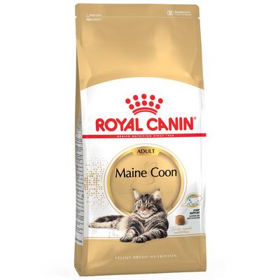 4kg Maine Coon Royal Canin Croquettes pour chat
