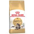4kg Maine Coon Adult Royal Canin Dry Cat Food