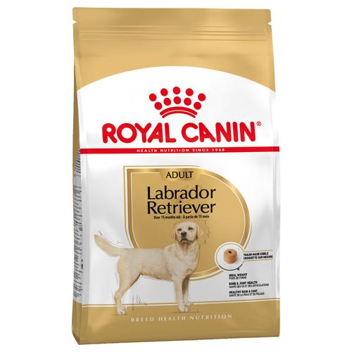 2x12kg Adult Labrador Retriever Royal Canin Hundefutter trocken
