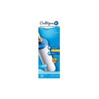 Culligan RV-800 Inline RV Filter-Carbon/KDF & Hose