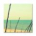 Trademark Fine Art 'Branches on the Beach' by Michelle Calkins Photographic Print on Canvas in Blue | 18 H x 18 W x 2 D in | Wayfair MC0169-C1818GG