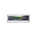 NCAA South Carolina Baseball Framed Photographic Print on Paper Blakeway Worldwide Panoramas, Inc | 13.5 H x 40.25 W x 1 D in | Wayfair SCAR2F