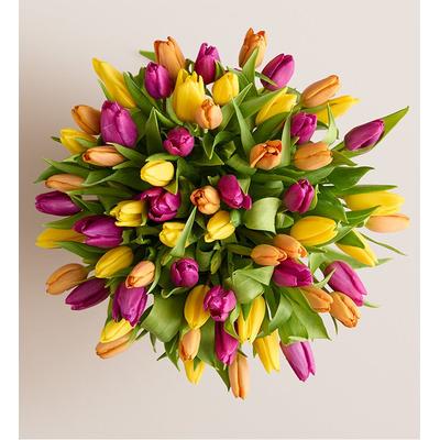 1-800-Flowers Seasonal Gift Delivery Deluxe Spring Assorted Tulip Bouquet 60 Stems Bouquet Only | Happiness Delivered To Their Door