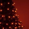 Wintergreen Lighting Christmas 70 Light LED String Light in Orange | 288 W in | Wayfair 50145