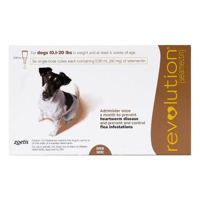 Revolution For Small Dogs 10.1 - 20lbs (Brown) 6 D...