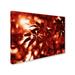 Trademark Fine Art "Welding Burns" by Philippe Sainte-Laudy Photographic Print on Wrapped Canvas 16.0 H x 24.0 W x 2.0 D in redCanvas | Wayfair