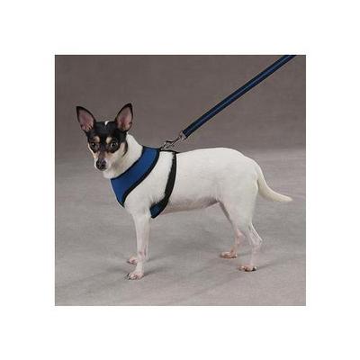 Casual Canine Mesh Dog Harness - Blue - X-Large