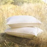 Eastern Accents Loure Down Firm Support Pillow Down Alternative/100% Cotton | 20 H x 31 W in | Wayfair DM-BPC-QN05