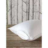 Eastern Accents Tenor 100% Cotton Pillow Protector 100% Cotton in White | 21 H x 37 W in | Wayfair DM-PP-KN01