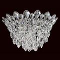 Schonbek Trilliane Cluster 17" Wide Crystal Ceiling Light