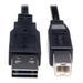 Tripp Lite Ur022010 USB Cable 4 Pin USB Type A (M) 4 Pin USB Type A (M) 10 Ft ( USB / HiSpeed USB )