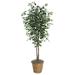 Vickerman 26196 - 6' Variegated Deluxe (TDX0260) Ficus Home Office Tree