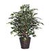 Vickerman 26239 - 4' Variegated Extra Full (TXX0240) Ficus Home Office Tree