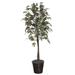 Vickerman 25215 - 6' Frosted Maple Tree (TEC1760) Maple Home Office Tree