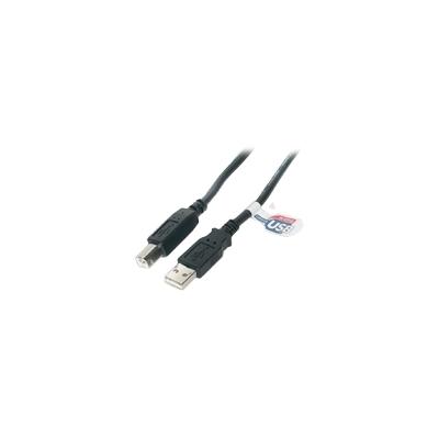 StarTech USB2HAB6 USB Cable