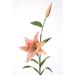Distinctive Designs DIY Flower Sonia Celadon Oriental Hybrid Lily w/ Blooms, Synthetic | 33 H x 6 W x 2 D in | Wayfair DW-958-SOCD