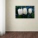 Trademark Fine Art 'Three Parrot Tulips' Photographic Print on Wrapped Canvas Metal in Blue/White | 22 H x 32 W x 2 D in | Wayfair KS541-C2232GG