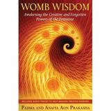 Womb Wisdom : Awakening the Creative and Forgotten Powers of the Feminine (Paperback)