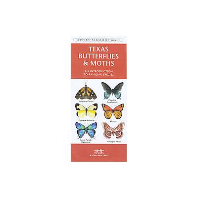 Texas Butterflies & Moths by James Kavanagh (Paperback - Waterford Pr)