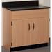 Stevens ID Systems Science Classroom Cabinet w/ Doors Wood in Brown | 35 H x 36 W x 23 D in | Wayfair 81488 J36-024