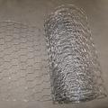 ZORO SELECT 4LVG2 Poultry Netting,Height 72 In, 50 Ft.