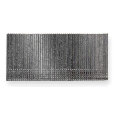 PORTER-CABLE PFN16150 Collated Finishing Nail, 1-1/2 in L, 16 ga, Bright,