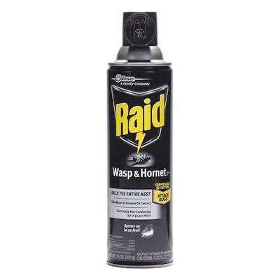RAID 668006 Wasp and Hornet Killer,14 oz.