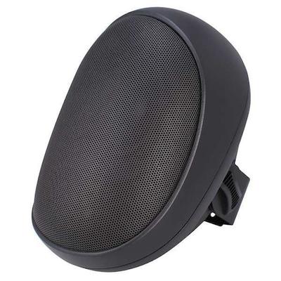 SPECO TECHNOLOGIES SP4AWET Speaker,Indoor/Outdoor,9-1/2 In.