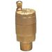WATTS FV-4M1- 1/2 Automatic Air Vent Valve,1/2 In,Brass
