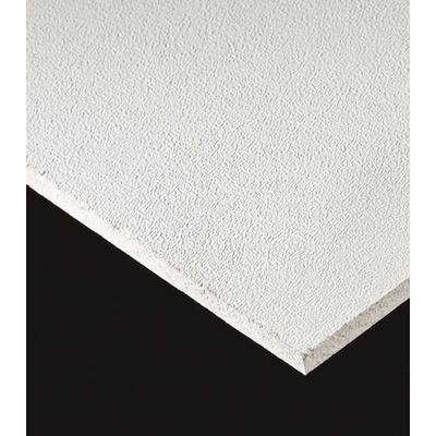 ARMSTRONG 673 Kitchen Zone(TM) Ceiling Tile, 24 in W x 24 in L, Square Lay-In,