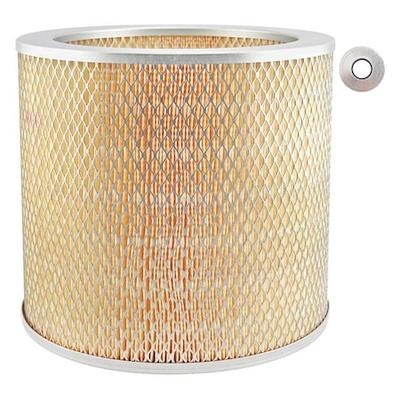 BALDWIN FILTERS PA1621 Air Filter,10-7/32 x 9 in.