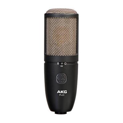 AKG P420 Large-Diaphragm Multipattern Condenser Microphone (Black) 3101H00430