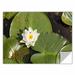 ArtWall 'Lilly Pad' by Cody York Photographic Print Removable Wall Decal Metal in Green/White | 32 H x 48 W in | Wayfair 0yor045a3248p