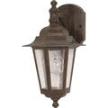 Nuvo Lighting 60989 - 1 Light 13" Old Bronze Clear Seeded Glass Shade Outdoor Wall Lantern Light Fixture (60-989)