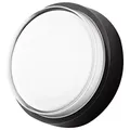 BEGA Impact Resistant LED Ceiling/Wall Light-3534/3535 - 33534-BLK