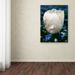 Trademark Fine Art "Parrot Tulip" by Kurt Shaffer Photographic Print on Wrapped Canvas Canvas | 19 H x 14 W x 2 D in | Wayfair KS533-C1419GG