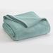 Vellux Fleece Blanket Microfiber/Fleece/Microfiber/Fleece in Green/Gray/Blue | 66 W in | Wayfair 27399031811