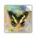 ArtWall Butterfly by Elena Ray Removable Wall Decal Canvas/Fabric in Black/Green/Yellow | 18 H x 18 W in | Wayfair 0ray031a1818p