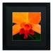 Trademark Fine Art 'Brilliant Orchid on Fire' by Kurt Shaffer Framed Photographic Print Canvas | 16 H x 16 W x 0.5 D in | Wayfair KS122-B1616BMF