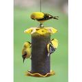 Birds Choice Nyjer Seed Bird Feeder w/ Stainless Steel Screen Metal in Yellow | 8 H x 5 W x 5 D in | Wayfair FF116A