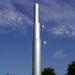 Birds Choice Heavy Duty 3 Section Telescoping Pole, Steel | 144 H x 2.2 W x 2.2 D in | Wayfair PMHD12