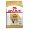 Royal Canin Beagle Adult Crocchette per cane - Set %: 2 x 12 kg