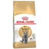 Royal Canin British Shorthair Adult Crocchette per gatto - 4 kg