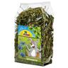 JR Farm Piantaggine minore - 500 g