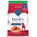 Blue Basics Skin & Stomach Care Natural Adult Grain Free Salmon & Potato Dry Dog Food, 22 lbs.