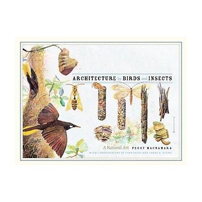 Architecture by Birds and Insects by Peggy Macnamara (Hardcover - Univ of Chicago Pr)