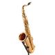 Yanagisawa T-WO2 Tenor Sax